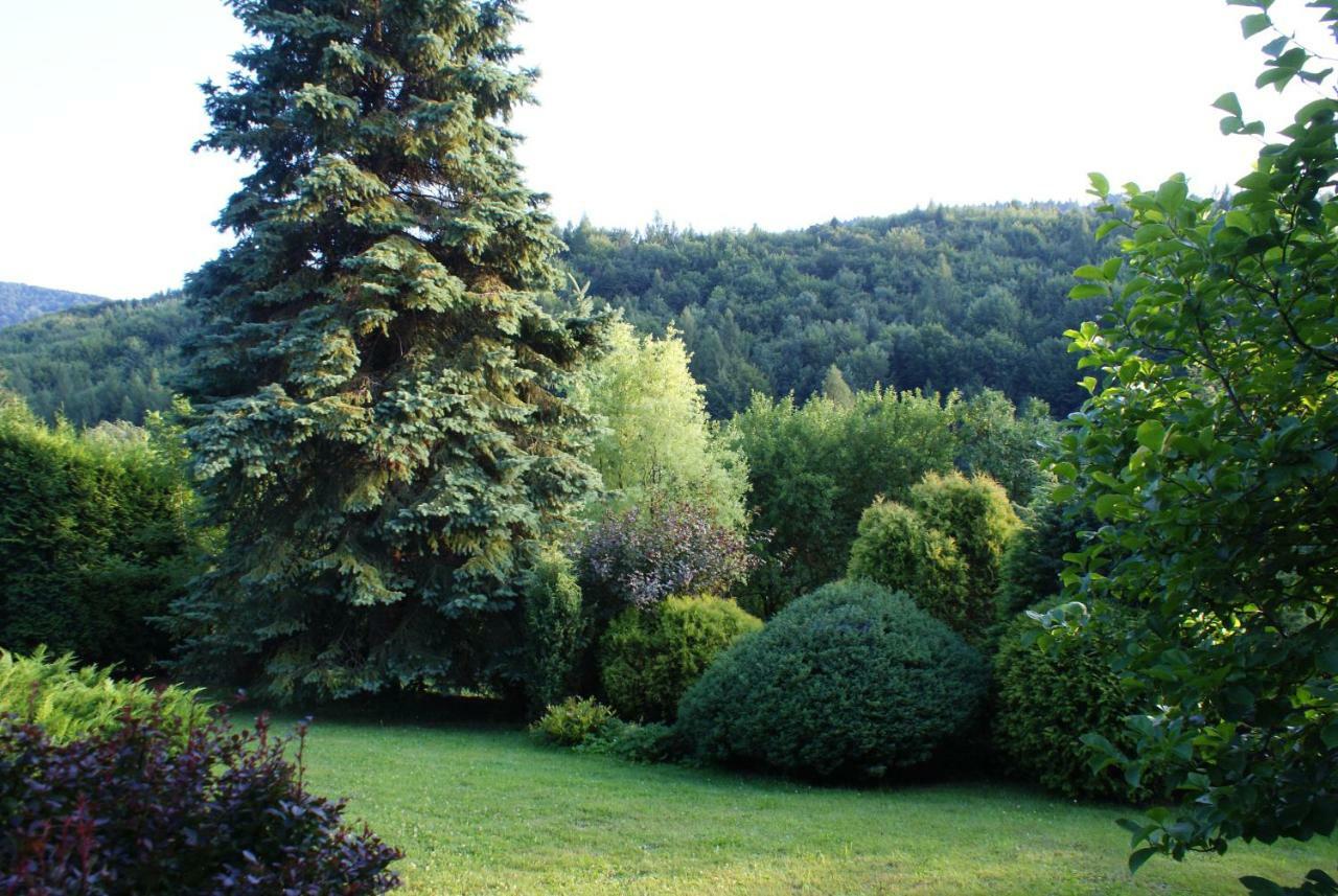 Ferienwohnung Apartament W Kozubniku Z Widokiem Na Gory Porąbka Exterior foto