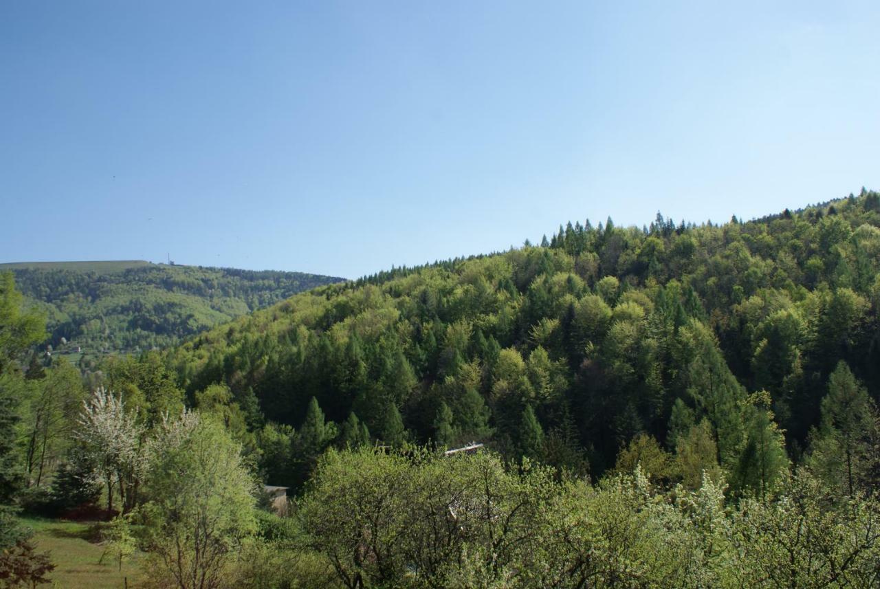 Ferienwohnung Apartament W Kozubniku Z Widokiem Na Gory Porąbka Exterior foto